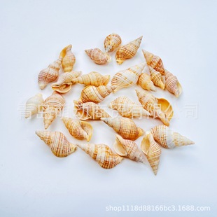 ��z�ݻ�������Ȼؐ�����ݺ���DIY�~��΢���^Ư��ƿ�b����