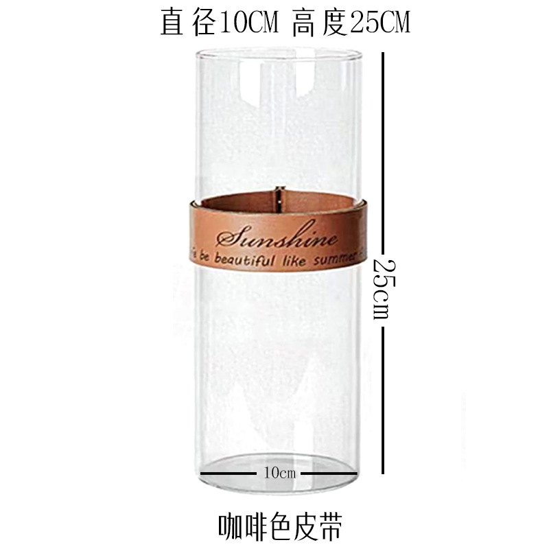 創意皮革手提げガラス生態花瓶杯微景観水培植物花器乾花工芸創意家庭|undefined