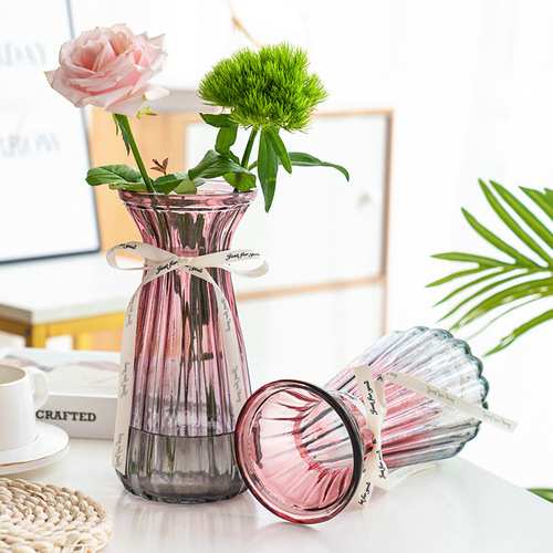 Extra-large thickened glass vase for living room, dried flower arrangement, hydroponic green ivy, lucky bamboo, lily flower, transparent vase