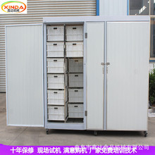 微电脑控制豆芽机设备 箱体式无根豆芽机器 不锈钢材质一机多用