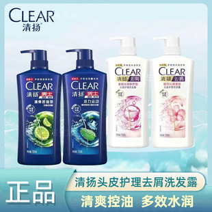 Brand direct supply Qingyang shampoo 750g oil control perfume fluffy anti-dandruff refreshing oil-removing men's shampoo