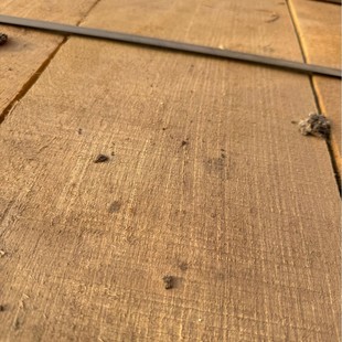 �S����ľ ����ľ �S�̈́� ��ľ�Ž��� ԭľ��� ���