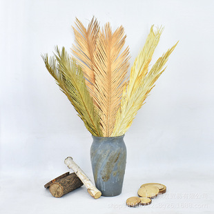 Iron Leaves Dried Flowers Golden Iron Leaves Dried Branches Plant Specimen Home Furnishing Soft Decoration Design Wedding Arrangement