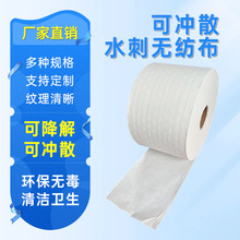 厂家水刺无纺布可冲散可降解水刺无纺布布湿厕纸湿巾原材无纺布