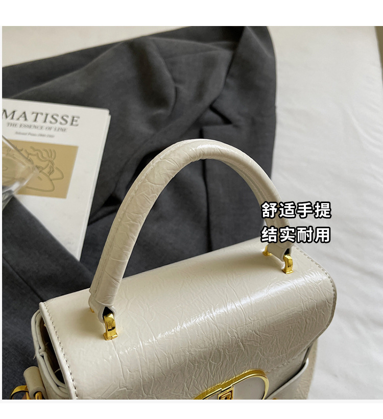 This year, the trendy square box bag for women in 2025 is a new, fashionable, versatile and high-quality single-shoulder crossbody bag undefined