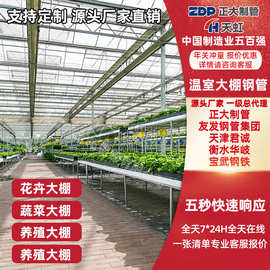 大棚管架 温室蔬菜大棚骨 20 25 32 蔬菜种植连体棚 可定包塑养殖