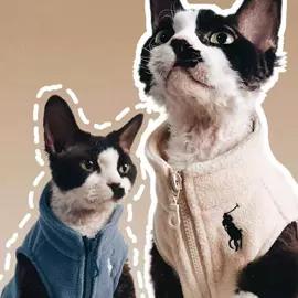 狗狗服装;猫猫服饰;宠物围巾