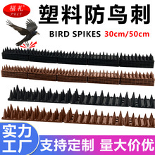 30cm 50cm�������Ϸ��B�́��R�d�羳���ڼ�̷�؈�̷�������B��