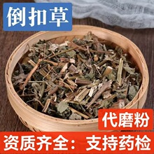 ���۲� ��ș�����l ���۲� ��ţϥ Ʒ�N�Rȫ �o�s�oѬ �н�ӆ��