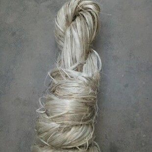 �ܵ�һ����z�r����z�S��z����z