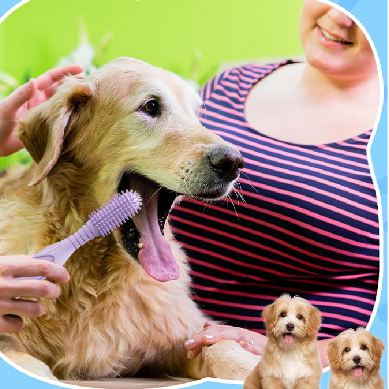 双头宠物去牙渍大型犬狗刷牙软毛猫牙刷牙刷口腔清洁猫咪狗狗牙刷|undefined
