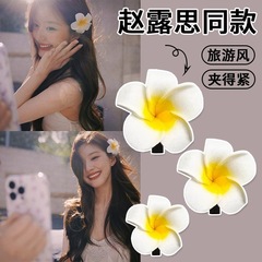 卵の花の飾りのシミュレーション花の甘い花の髪はレトロな装飾品を挟んで前髪を挟んで海辺のクリップを旅行します。
