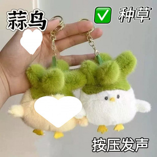 �����ƽ���^С�B�l��ż��h�Ą����ë�q������B�������l���]