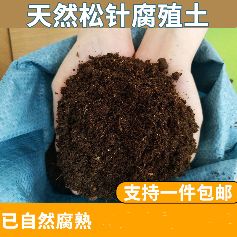 Decomposed Pine Needle Humus Soil Organic Wholesale Nutrient Soil Special Planting Vegetable Soil for Flower Cultivation Decomposed Pine Needle Humus Soil Organic Wholesale Nutrient Soil Special Planting Vegetable Soil for Flower Cultivation