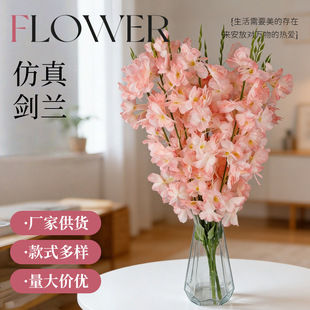 ���愦�m�羳��c�Ĳ��p�ӄ��m���컨�Ҿ��bƵ�[ʽ����z���