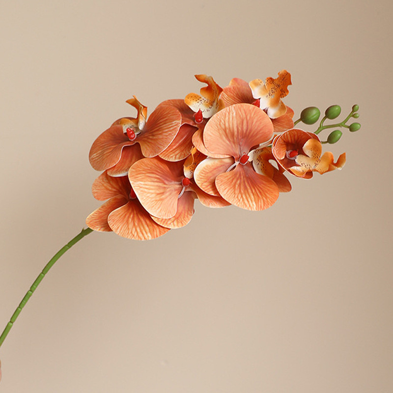 3D 호접란 7머리-추카