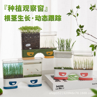 Children's planting small potted plants small ornaments germination small plants water and soil culture Mini small farm root growth observation window