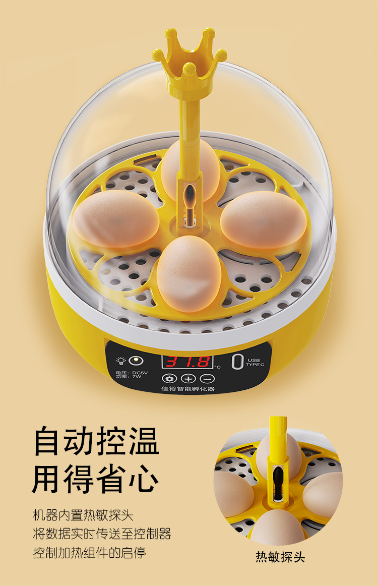 画板 6.png