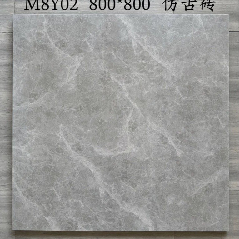 M8Y02 / 800x800