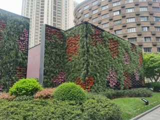 毛毡植物袋无纺布种植袋黑色圆形美植袋bag毛毡植物种植袋批发