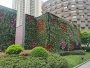 圆形植物黑色无纺布种植袋