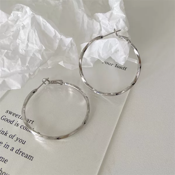 French Earrings 2025 New Explosions Metal Large Hoop Earrings Women's High Sense 925 Silver Needle Earrings Round