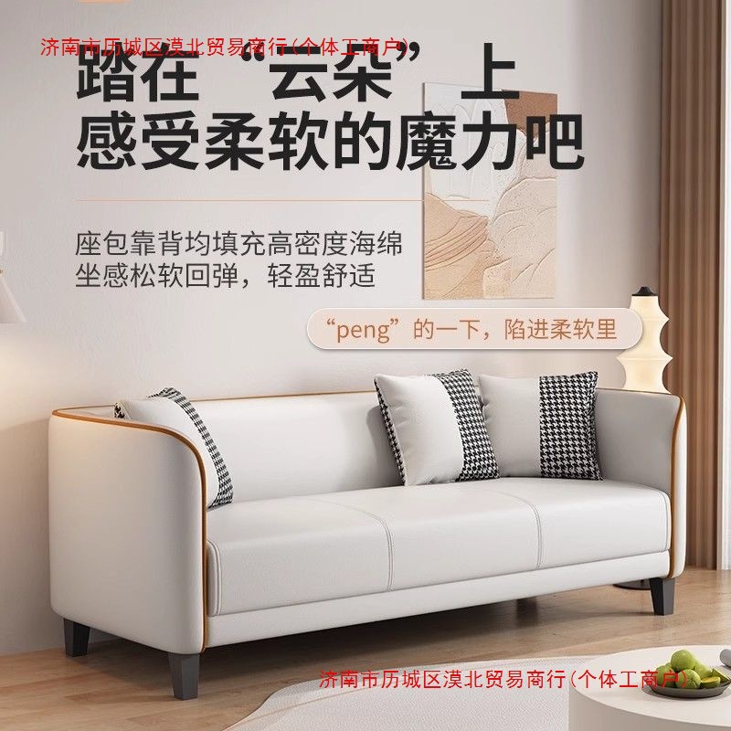 Italian Light Luxury Cat Claw Cloth Sofa Small Apartment Living Room Double Rental Room Bedroom Apartment Simple Modern Large Sofa