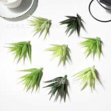 ��������L�J�C�~�� ɭϵ��Y���� �������~  �Ҿ��pɭϵ�b����