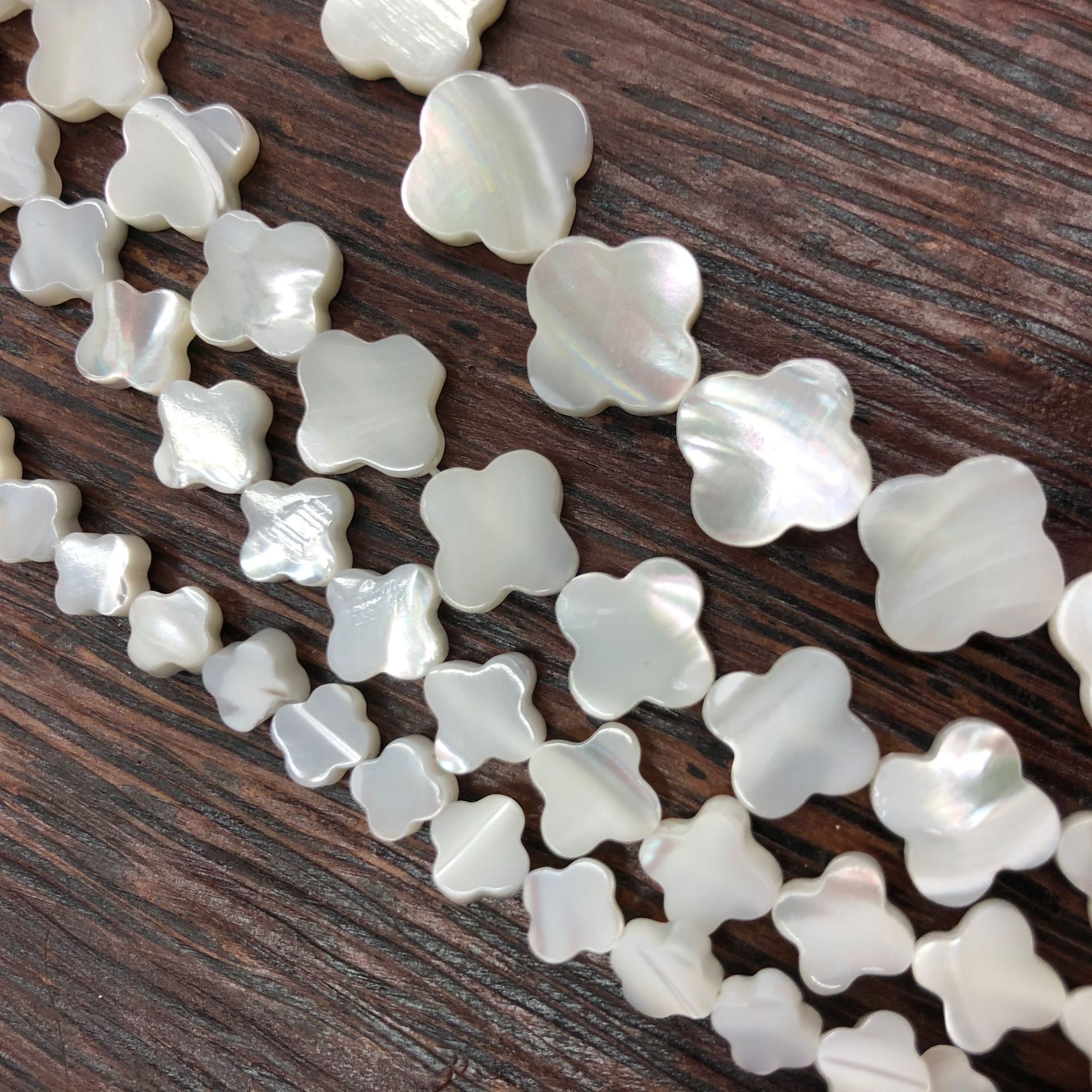 F398A3EEB99D63F27776E6B3010E27