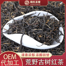 2026滇红老树红茶头春花果香散茶滇红茶路氏正味茶业云南厂家批发