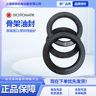 German Dichtomatik V-Type Seal Dichtomatik Vl 600 |   540 * 553 *