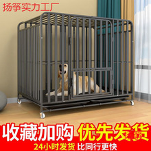 ���\�Ӵ���Ȯ����Ȯ���\�����������҃����ë��������\������Ʒ
