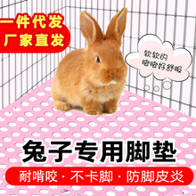 �û\�|�ӌ���\���_�|��ƴ��TPE�����D����؈�䶶��С����