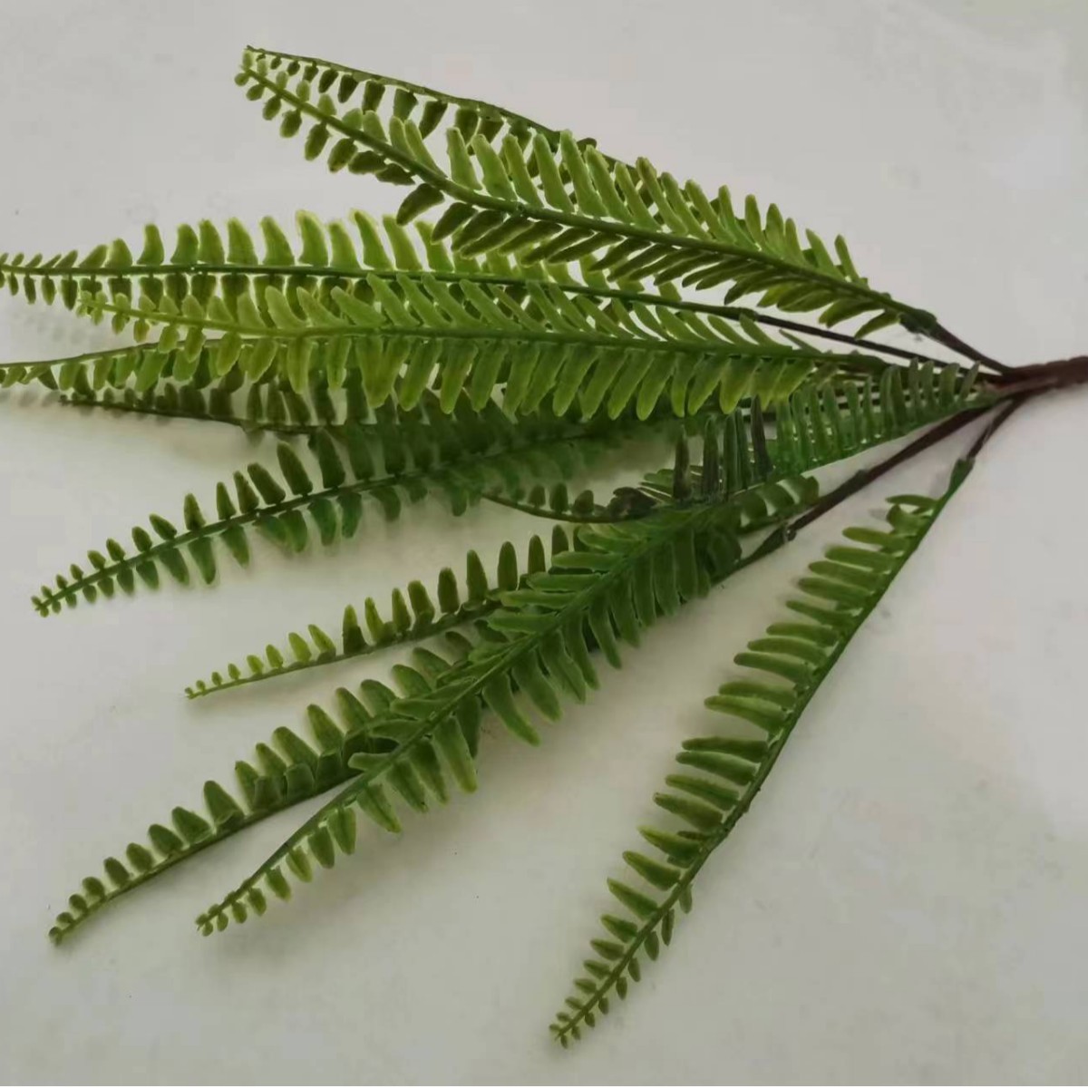 13 葉プラスチックペルシャ葉