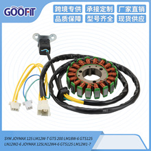 ������ȦSYM JOYMAX 125 LM12W-T GTS 200 LM18W-6 GTS125 LN12W2