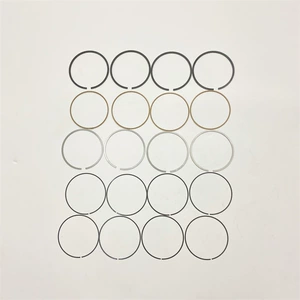 Stzt 11257562457 4-Cylinder Suitable for Bmw Car Piston Ring
