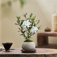 ���d�ӻ�С�辰�ļ�����ֲ��С�~����Gֲ�k�����_�����B�����҃�