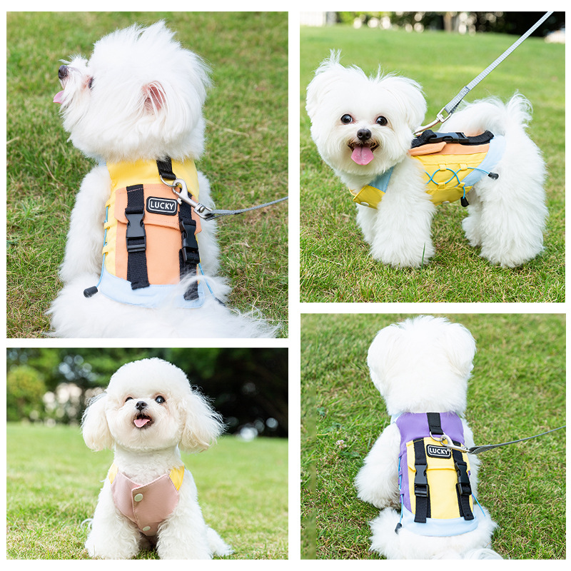 Otoño y invierno perros salen mochila tipo cinturón para perros pequeños y medianos chaleco Teddy Bear traje de asalto ropa de perro mascota