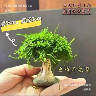 Ī˹���~�ט�����ľˮ�ݑ����쾰�o���ɳ��Ģ���^�~���쾰�[��