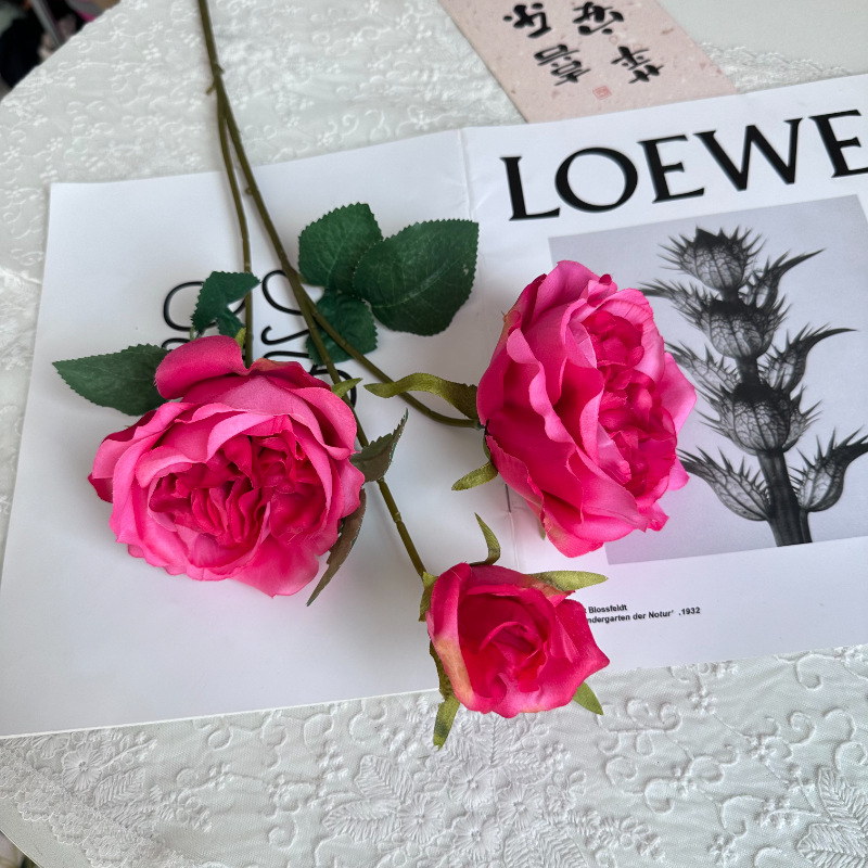로즈 레드