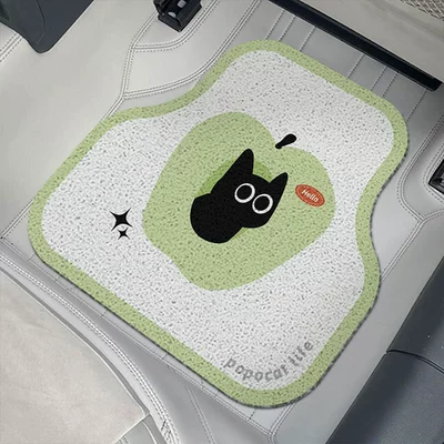 car floor mat, mud-scraping, anti-dirt, Avtomobil döşəmə paspasları