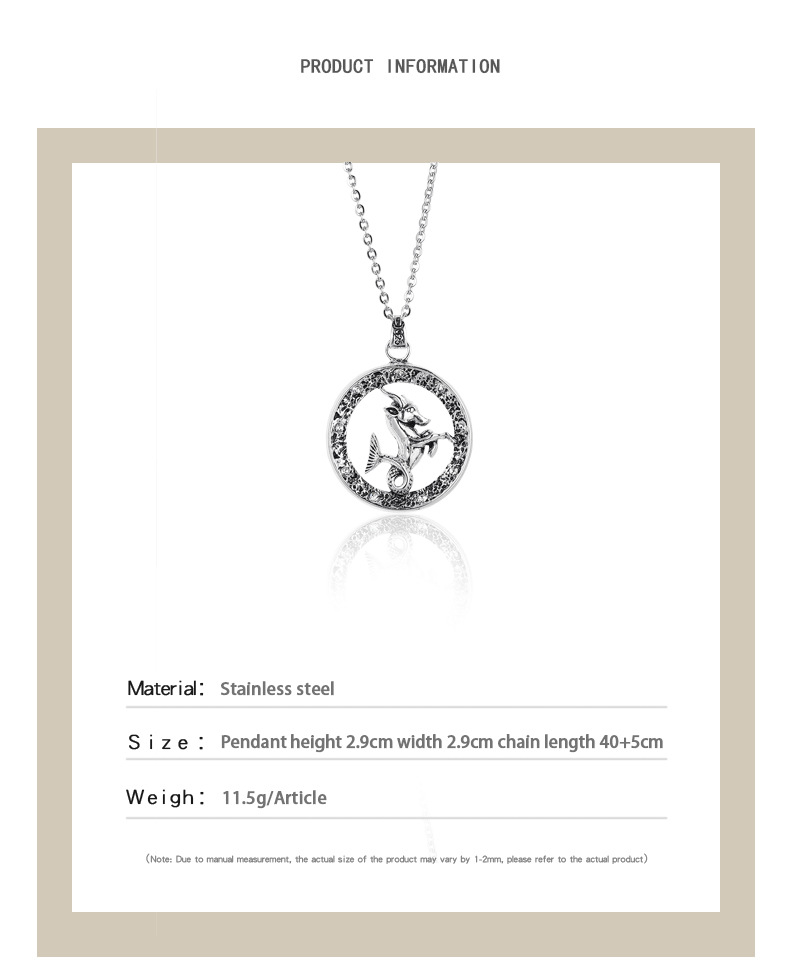 New Titanium Steel Retro 12 Constellation Necklace Clavicle Chain Wholesale display picture 4