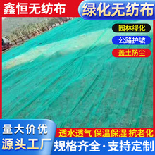 绿化无纺布厂家批发 护坡斜坡绿色防尘布植草盖土布 盖土无纺布