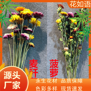 ������ �߲ʾ�С�u�������Ȼ�ɻ� �bҾӔ[�Odiy�廨�ɻ�