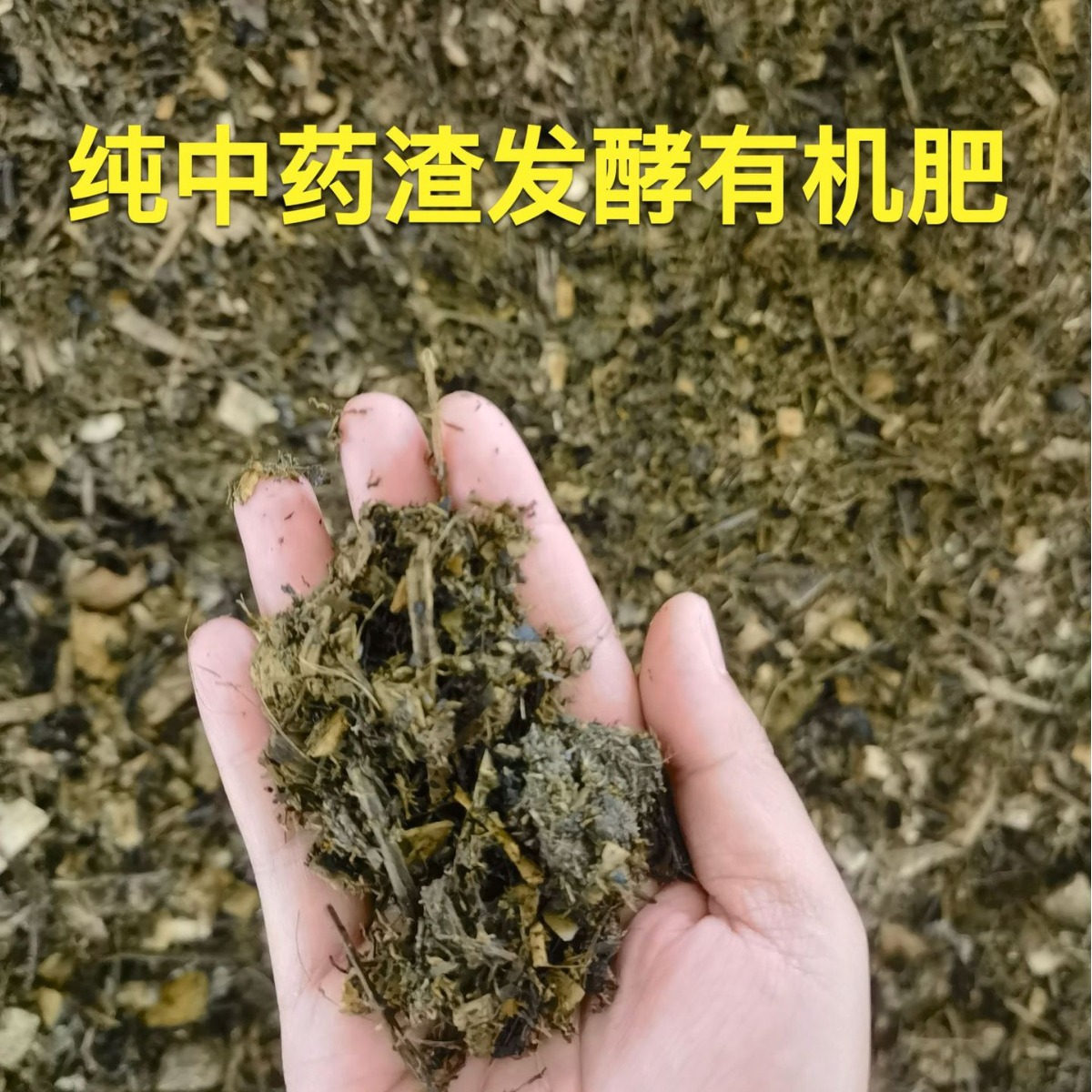 纯中药发酵有机肥料 源头工厂 广东厂家 生物菌种批发 果园 蔬菜