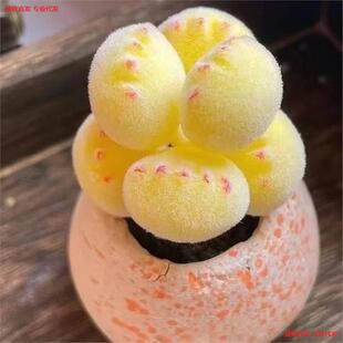 ���\����צ��ͯ�Ӷ���ֲ���ɫ�����¿�W�t�����̨�҃ȿɐ�