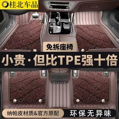 車専用TPE二層星空ブランケットフロアマット、車専用フロアマット、完全密閉型、車専用、汚れにくい、何千ものモデル
