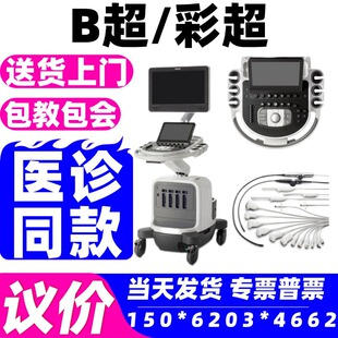 ��ɫ���O��-���l�S�� ���aB���O���t������B���C ���a�ʳ� 2026
