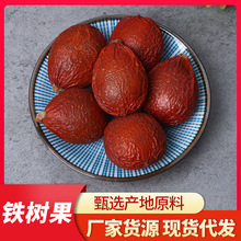 批发中药材 铁树果 铁树籽 凤凰蛋 苏铁果 铁树子 铁树果量大从优