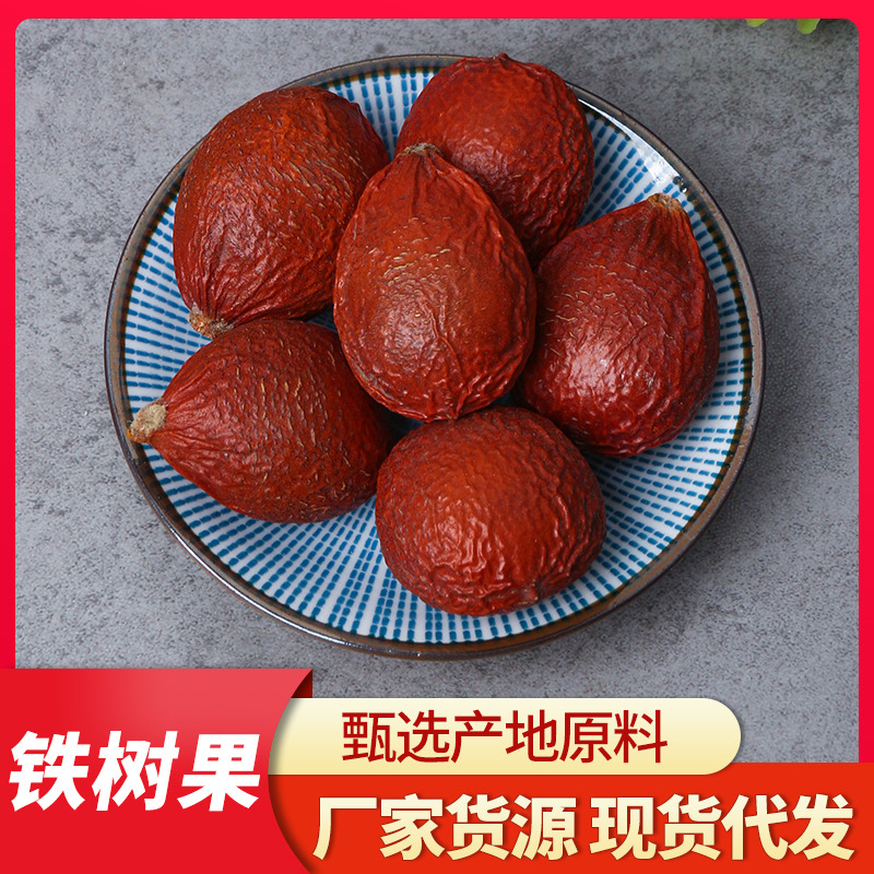 批发中药材 铁树果 铁树籽 凤凰蛋 苏铁果 铁树子 铁树果量大从优